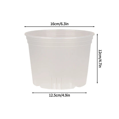 Transparent Nursery Plant Pot