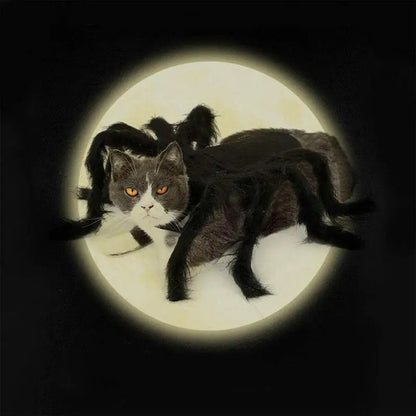 Spider Costume for Cats & Dogs