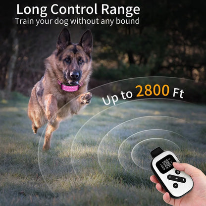 IPX7 Waterproof Remote Dog Training Collar with Auto Anti-Bark Mode
