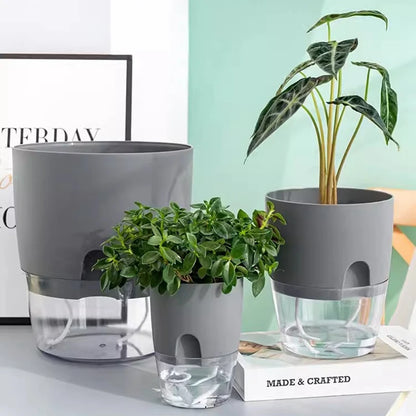 Self-Watering Hydroponic Plant Pot