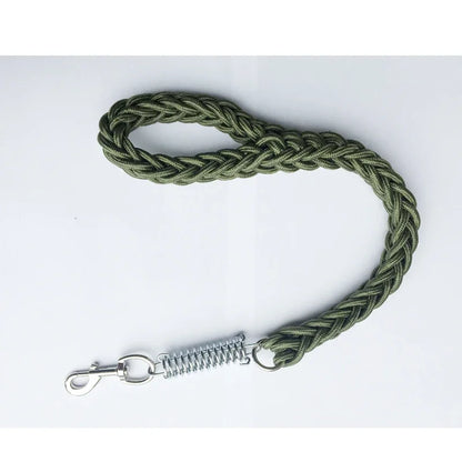 Shock Absorbing Dog Leash – Braided Nylon Training Lead