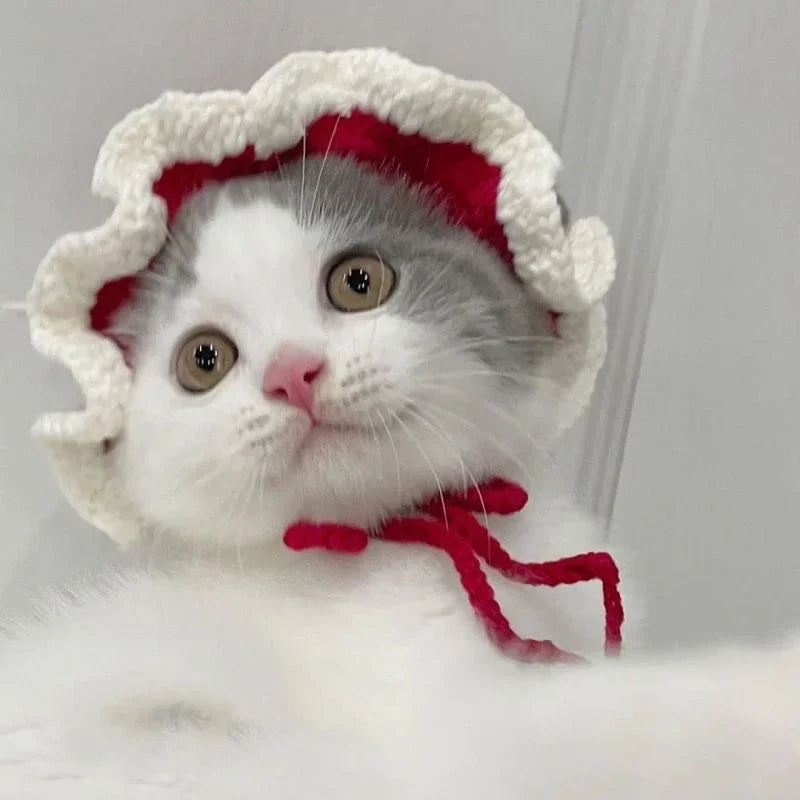 Autumn & Winter Knitted Cat Hat