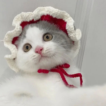 Autumn & Winter Knitted Cat Hat