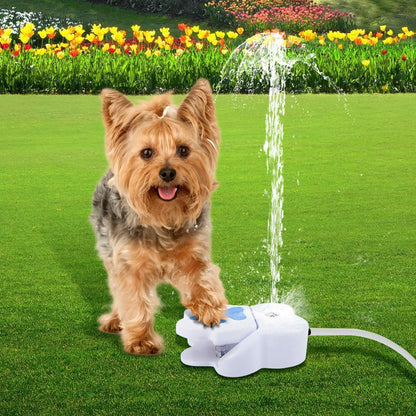Paw Activated Outdoor Dog Water Fountain