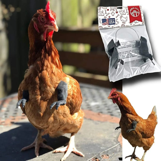 Chicken Arms Costume for Poultry