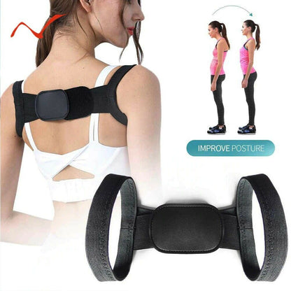 Back Support belt